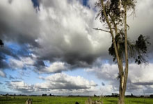 英国田径运动员打破世界纪录：一场属于速度与勇气的传奇